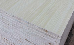 無醛宅男视频APP官网