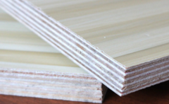 無醛宅男视频APP官网