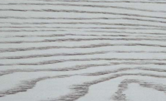 無醛宅男视频APP官网