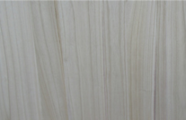 桐木宅男视频APP官网