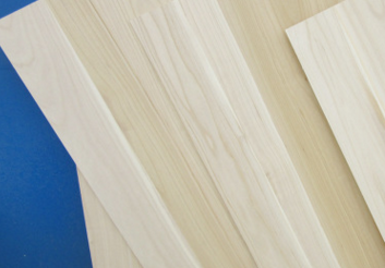 桐木宅男视频APP官网