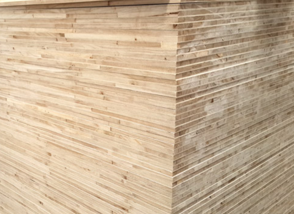 桐木宅男视频APP官网廠家